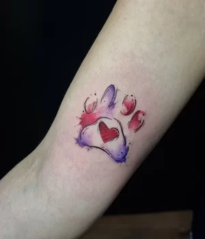 29